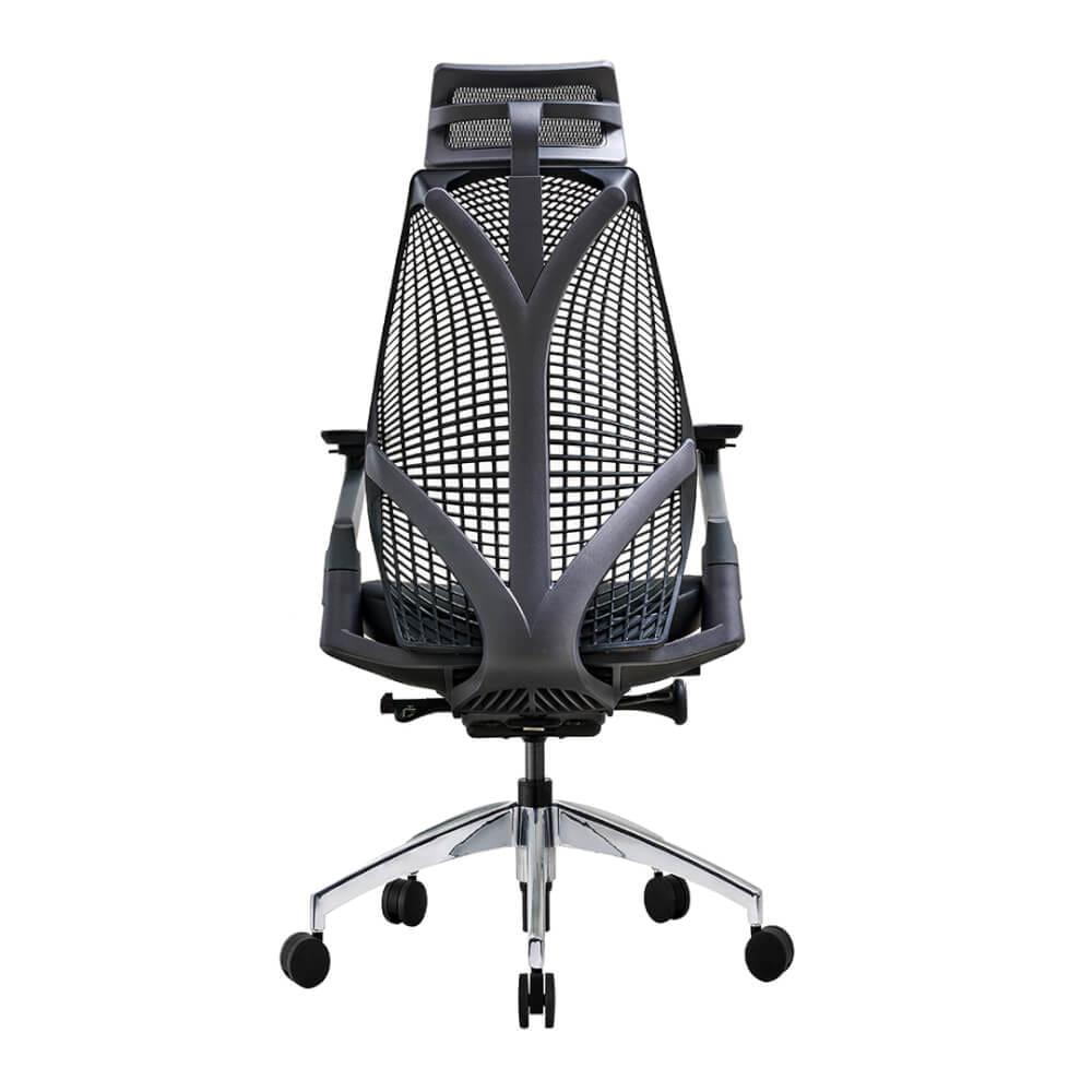 เก้าอี้เพื่อสุขภาพ DF PROCHAIR รุ่น iCare สีดำ_5